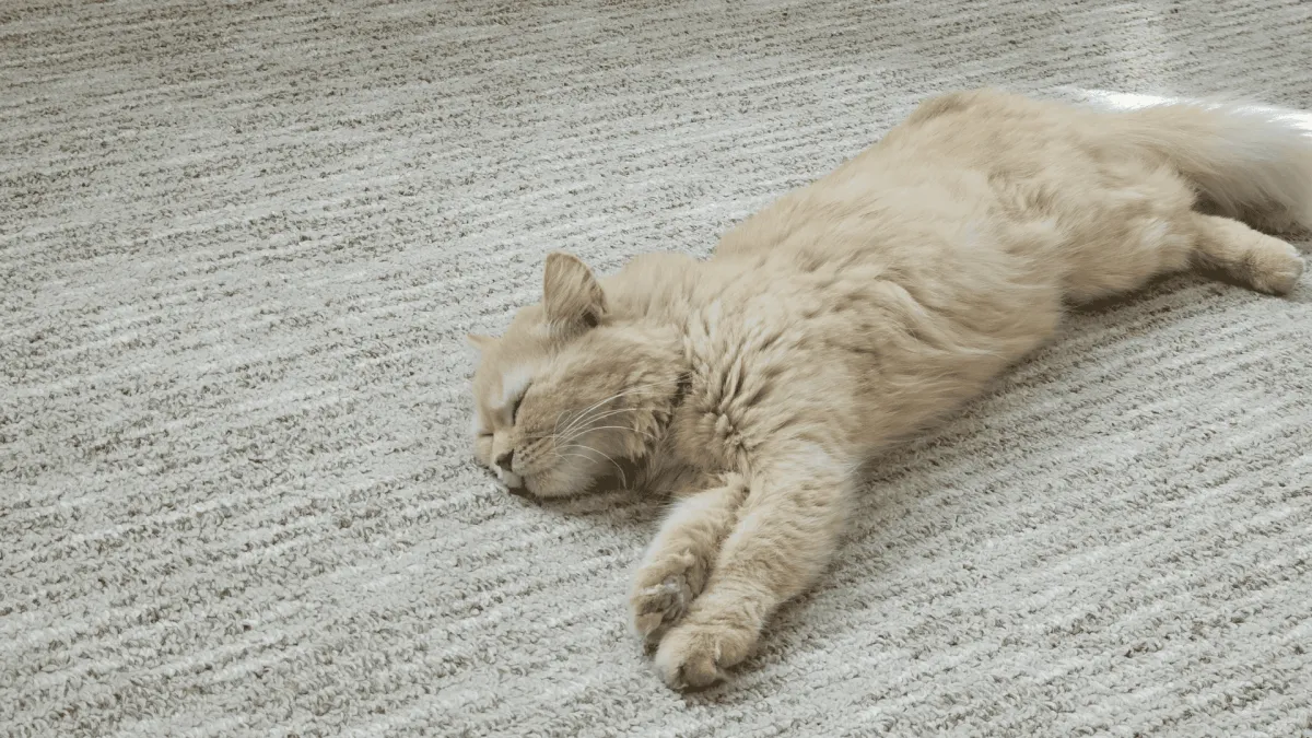 Matanuska Susitna Valley