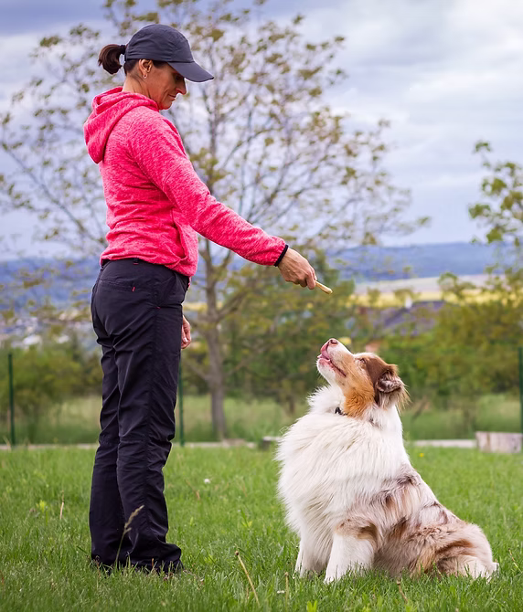 Arcadian Canine Obedience Training