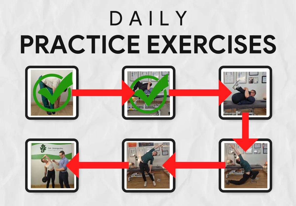 A system of daily exercises for all levels and abilities