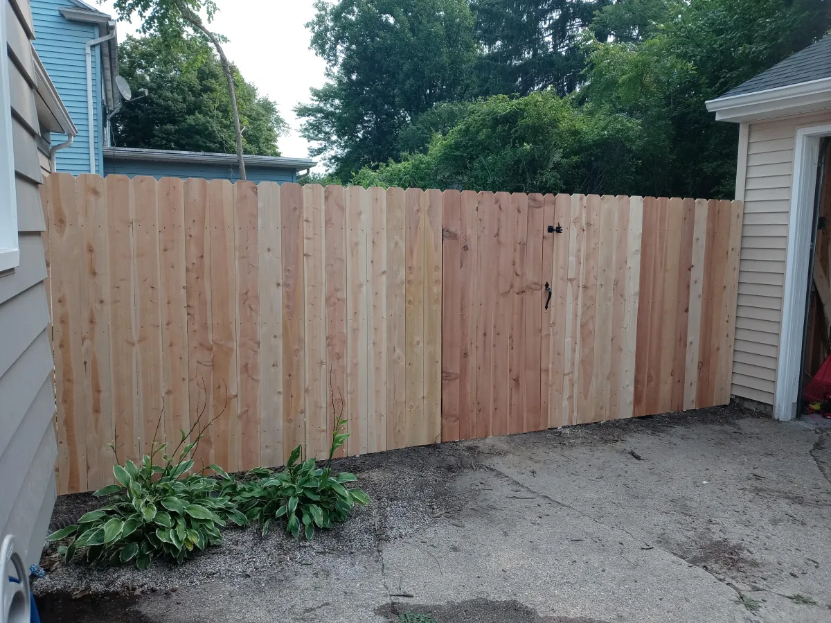 brown wooden fence near green trees during daytime