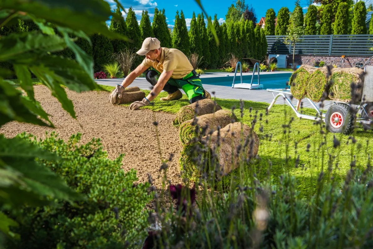 Sod & Grass Installation in Austin, Texas