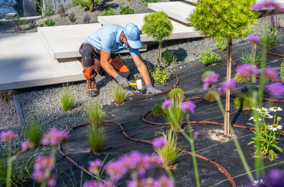 Landscaping in Austin, Texas