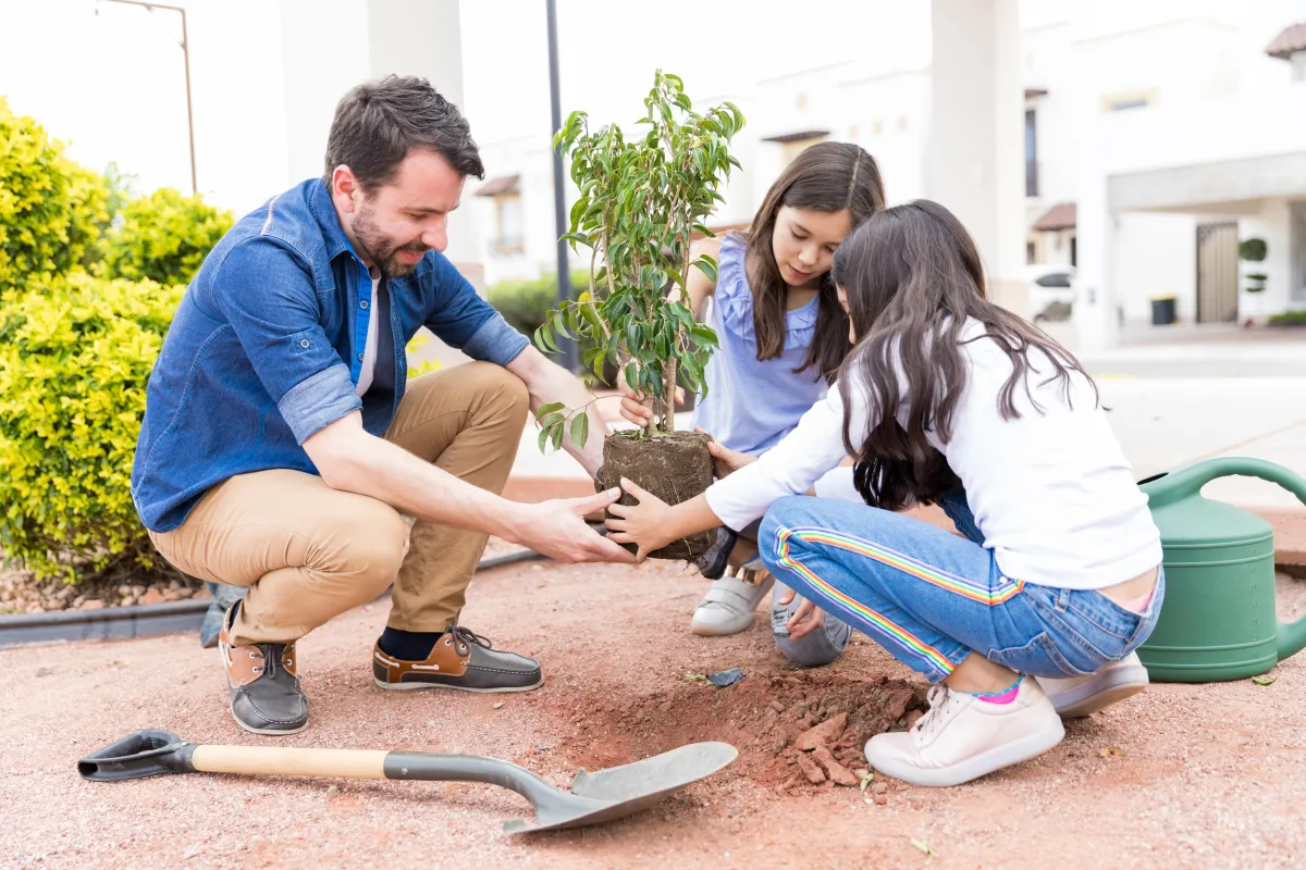 Cedar Park, Texas Landscaping