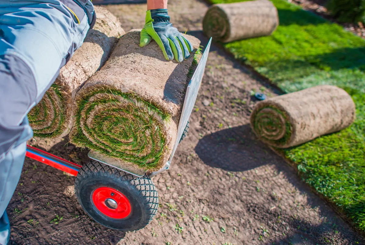 Pflugerville, Texas Landscaping