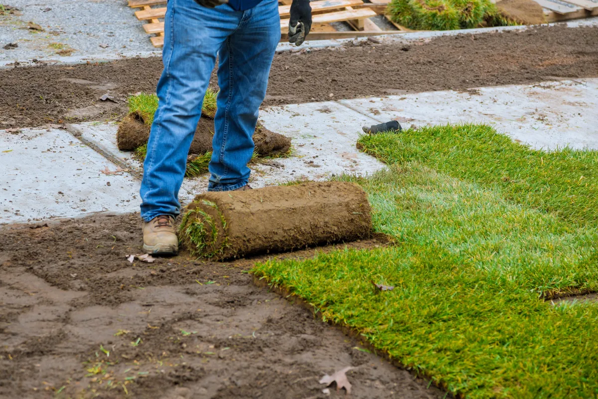 Cedar Park, Texas Sod & Grass Installation