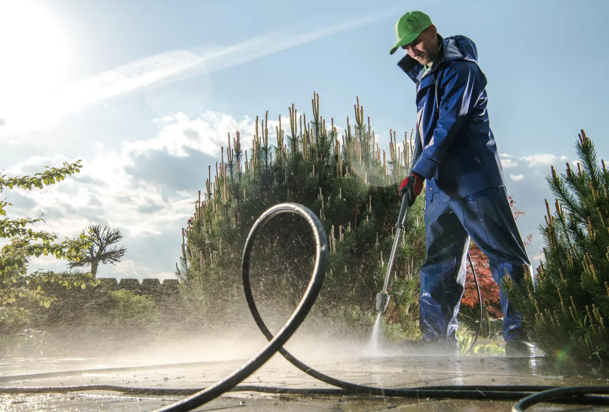 Cedar Park, Texas Sod & Grass Installation