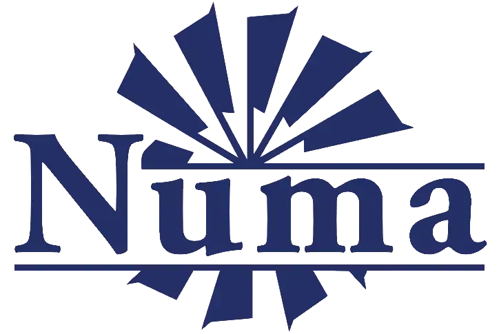 Numa Counseling, Coaching & Consulting