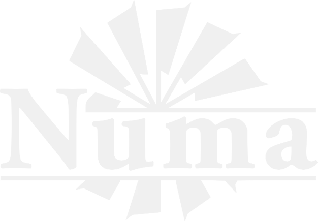 Numa Counseling, Coaching & Consulting