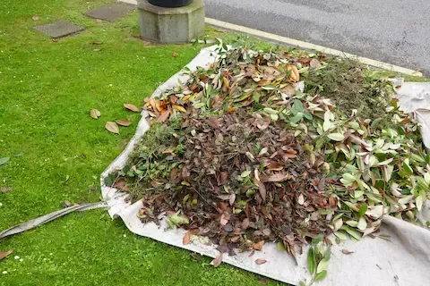 Yard debris and leaf removal during seasonal cleanup in Hartford
