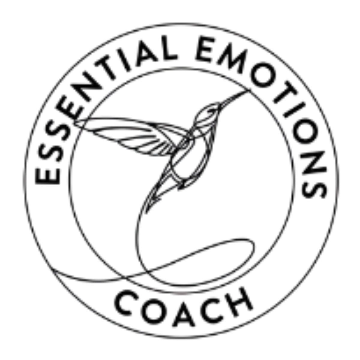 Certified Essential Emotions Coach