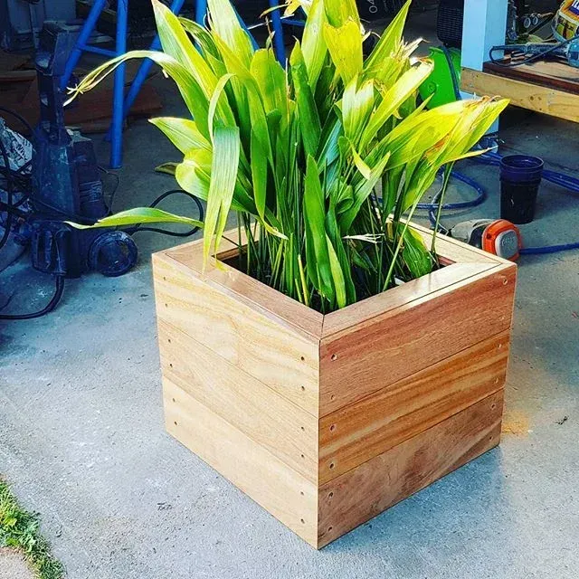 wooden box planter
