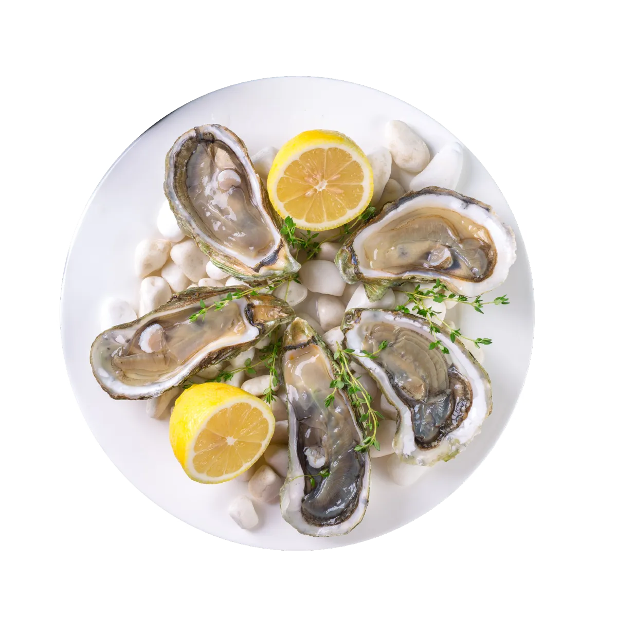 Clams with lemon on a plate that are ready to eat