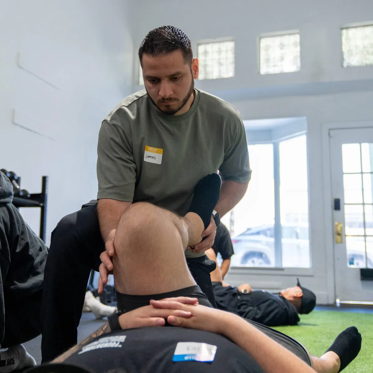 red petaled flower on grass field