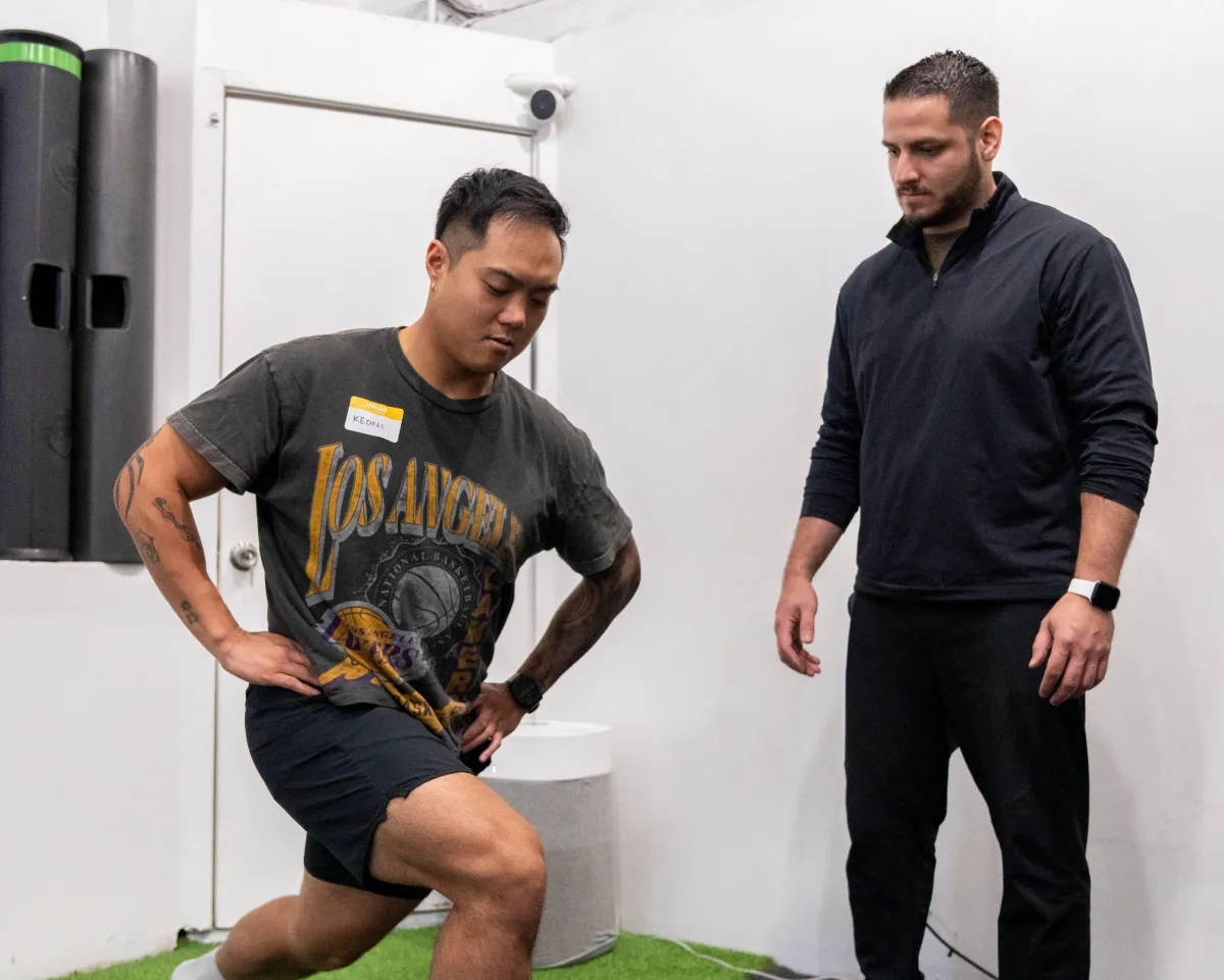 red petaled flower on grass field
