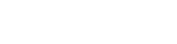 Zolvant AI