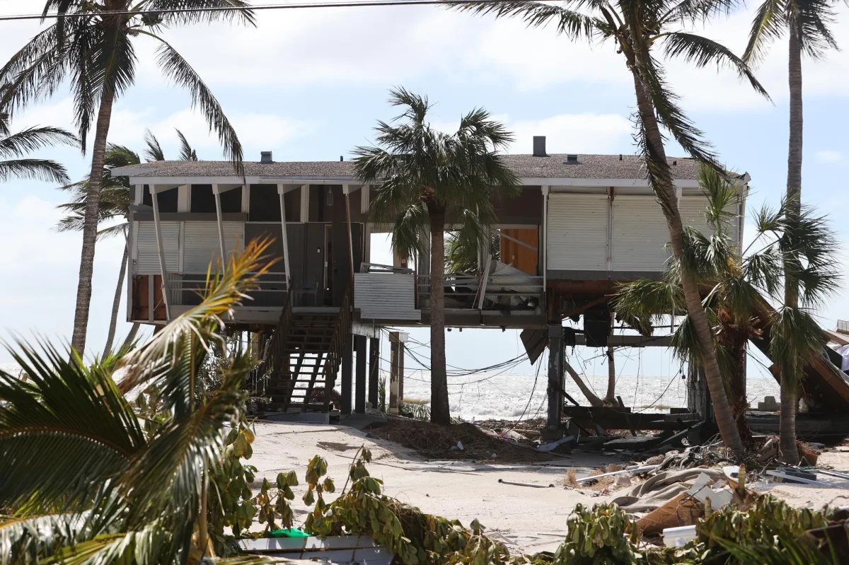 storm damage cleanup tampa