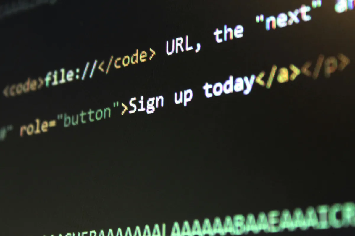 Website design and management services in Edinburgh