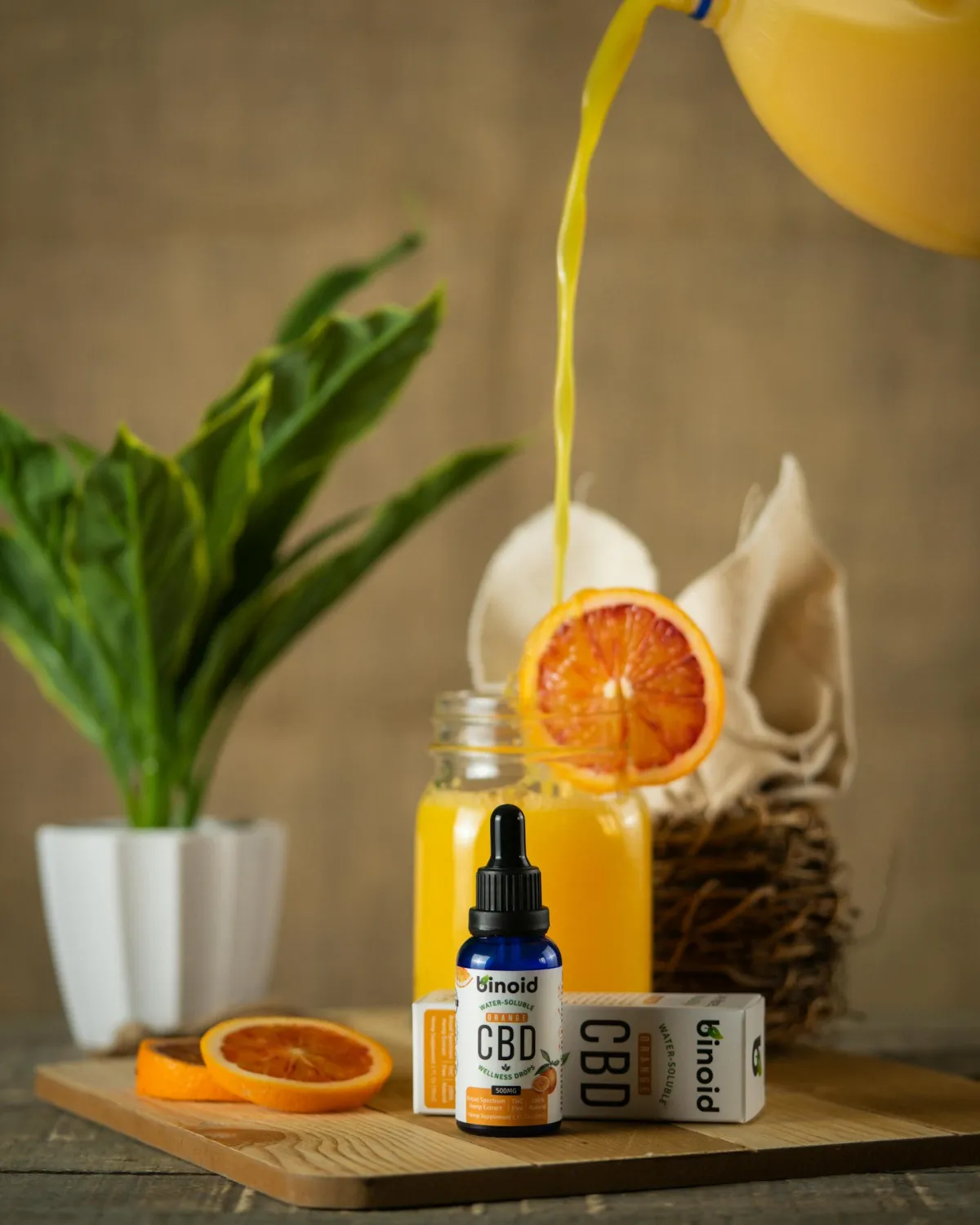 Organic Marketing services in Edinburgh