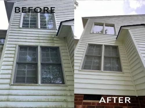 Soft Washing Henrico