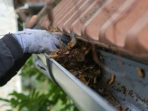 Gutter Cleaning in Henrico