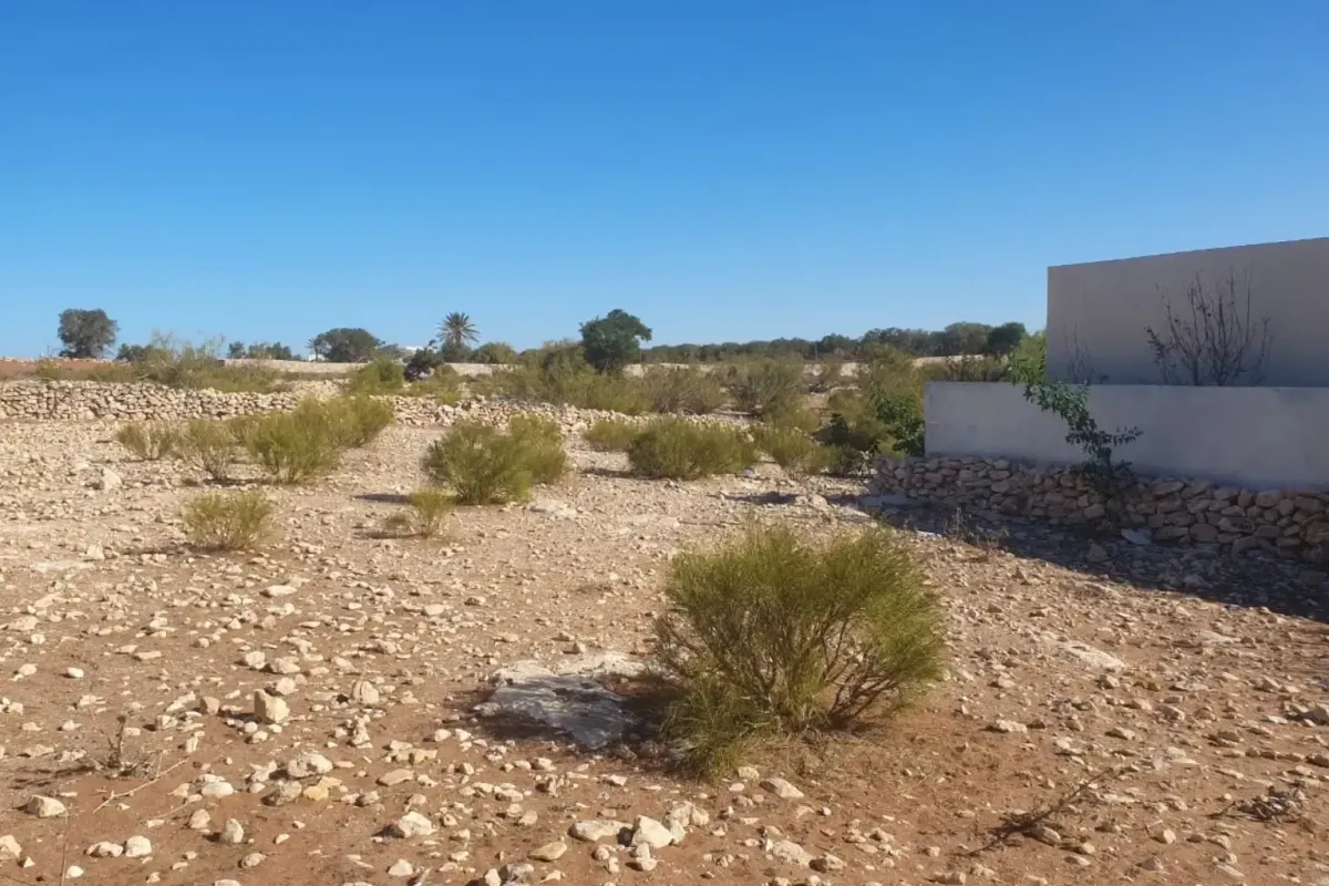 terrain constructible essaouira