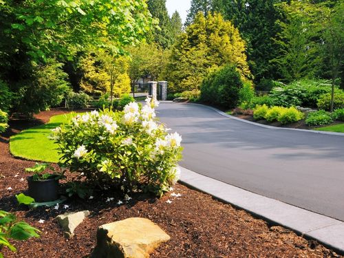 {{ custom_values.service_1 }} in {{custom_values.biz_area_1})