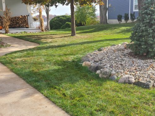 Fall Cleanup Waterford, MI