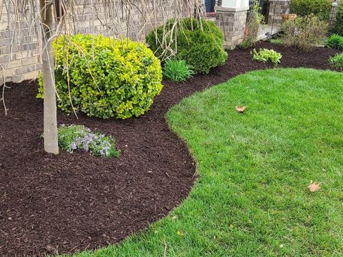 Land Grading & Leveling Waterford, MI