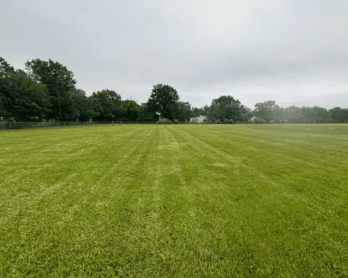 Softscaping & Hardscaping 