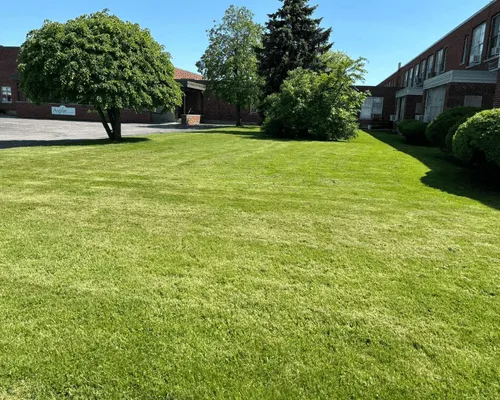 {{ custom_values.service_1 }} in {{custom_values.biz_area_1})