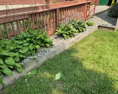 Spring Cleanup Williamsville