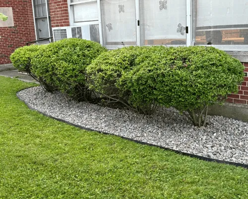 Lawn Care Williamsville