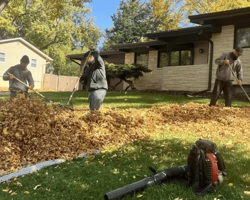 Spring Cleanup in Williamsville
