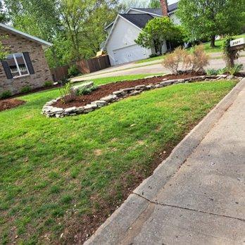 Tree removal in Cape Girardeau