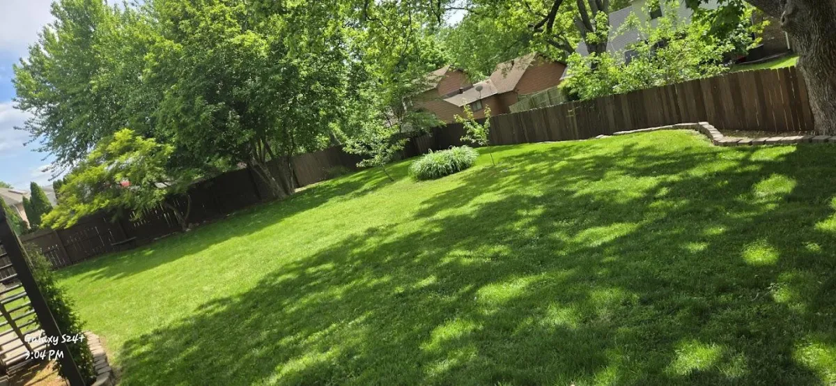 Stump Grinding & Removal