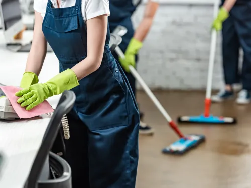 Every two weeks cleaning 