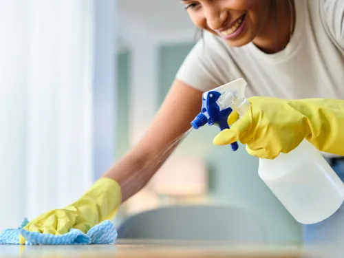 Once a month cleaning Belle Mead