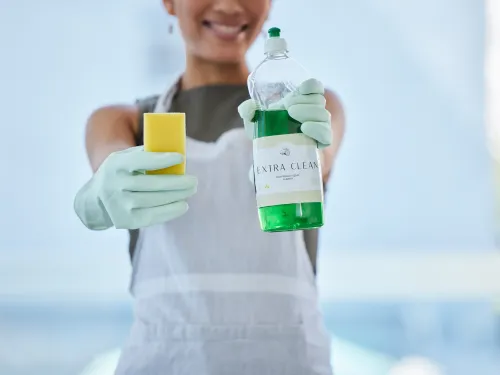 Cleaning Service Belle Mead