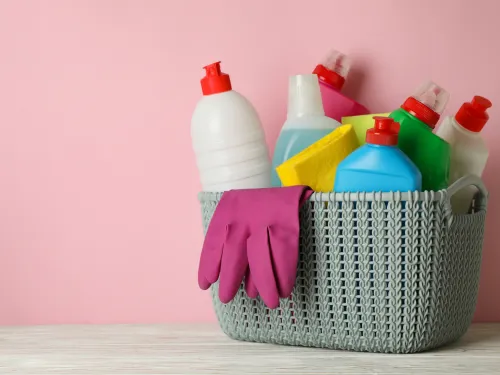 Every two weeks cleaning in Belle Mead