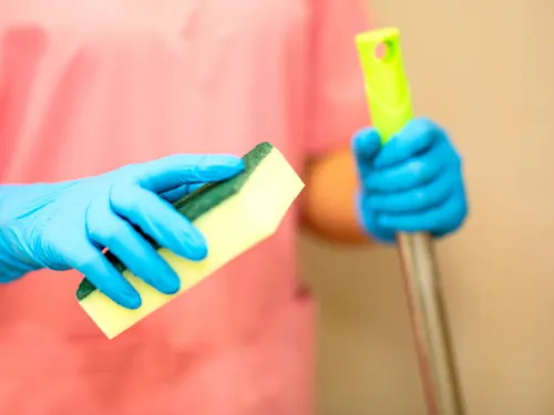 Every two weeks cleaning Belle Mead