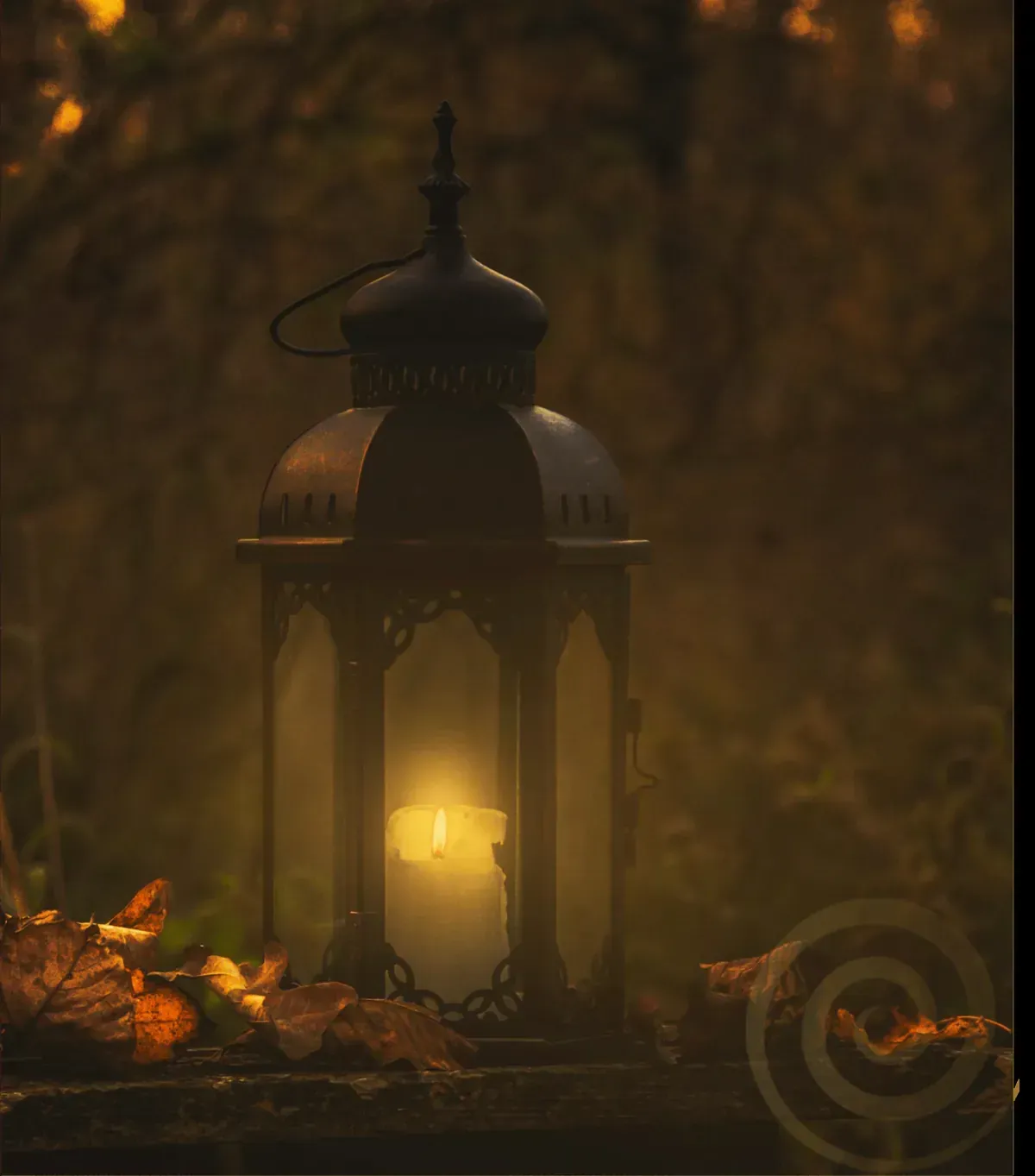 Lantern glowing softly in the dark forest, surrounded by autumn leaves and golden light. Symbol of guidance, slow work, and quiet illumination.