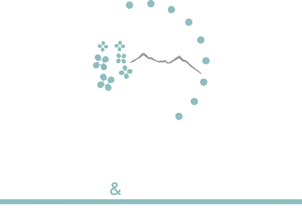 Alaska Med Spa & Chiropractic brand logo