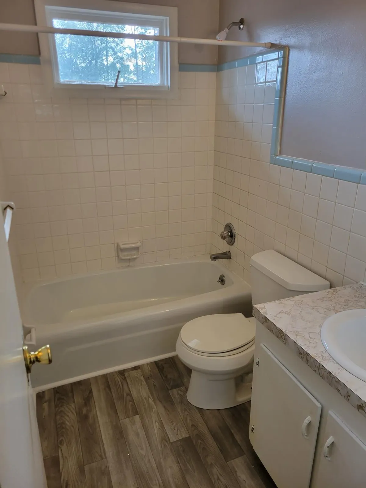 Bathroom tub and toilet