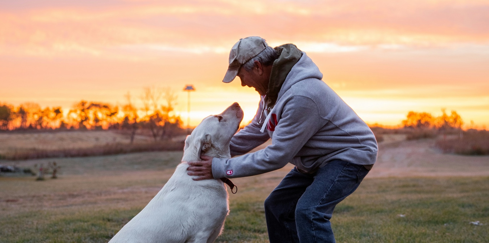 A comprehensive review of Myofascial Techniques in Animal Rehabilitation