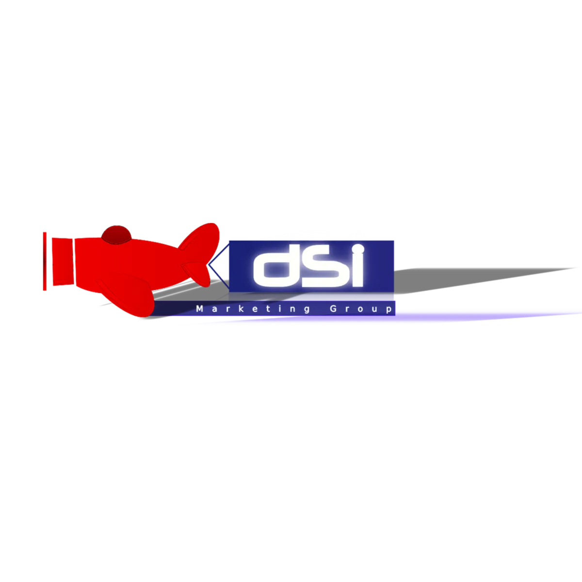 Dsi Marketing Group