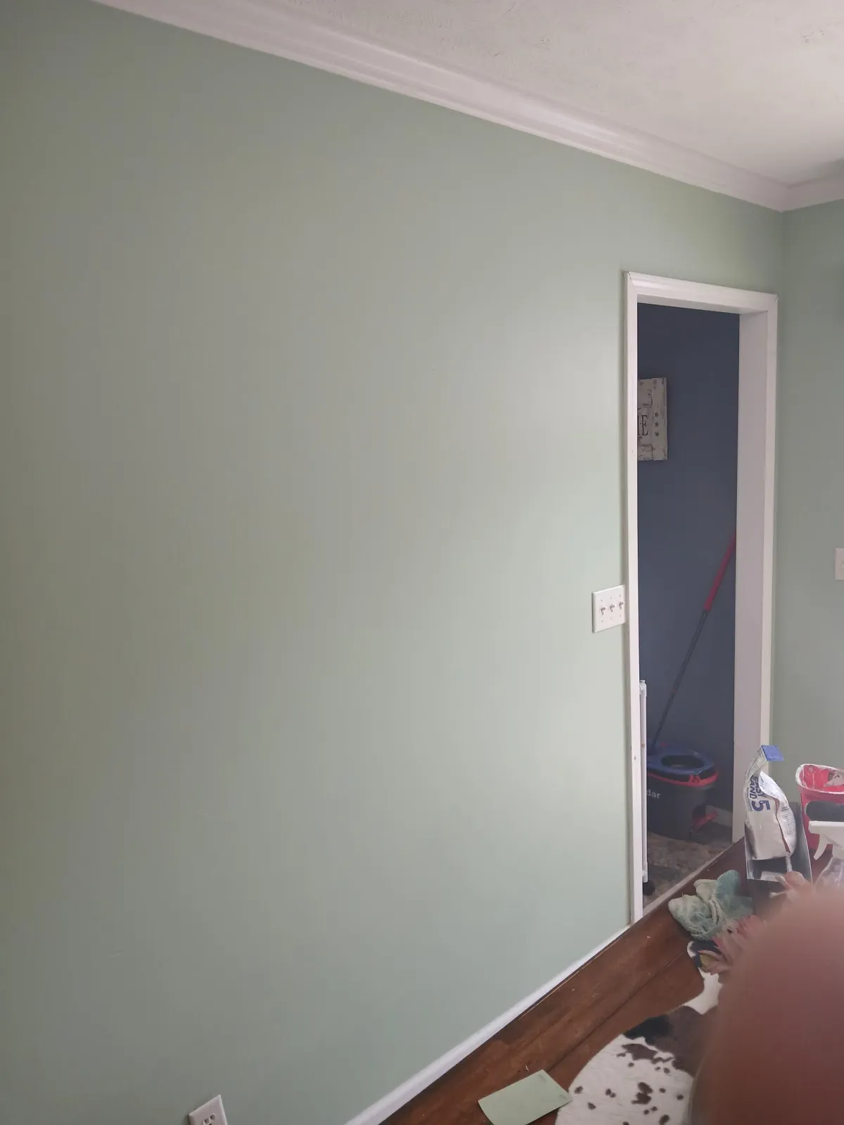 Fresh interior wall finish with smooth, even paint coats for a bright modern look