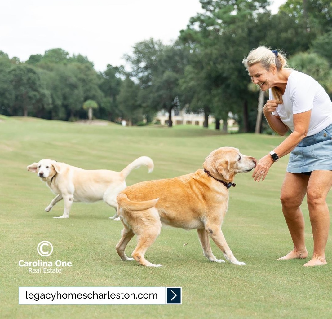 Realtor in Mount Pleasant, SC