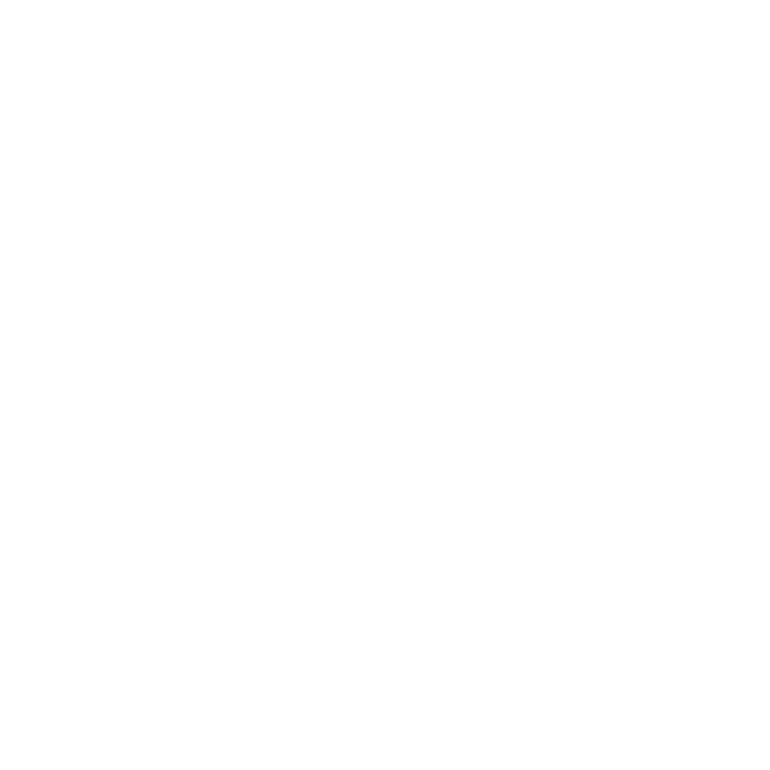 Paladino