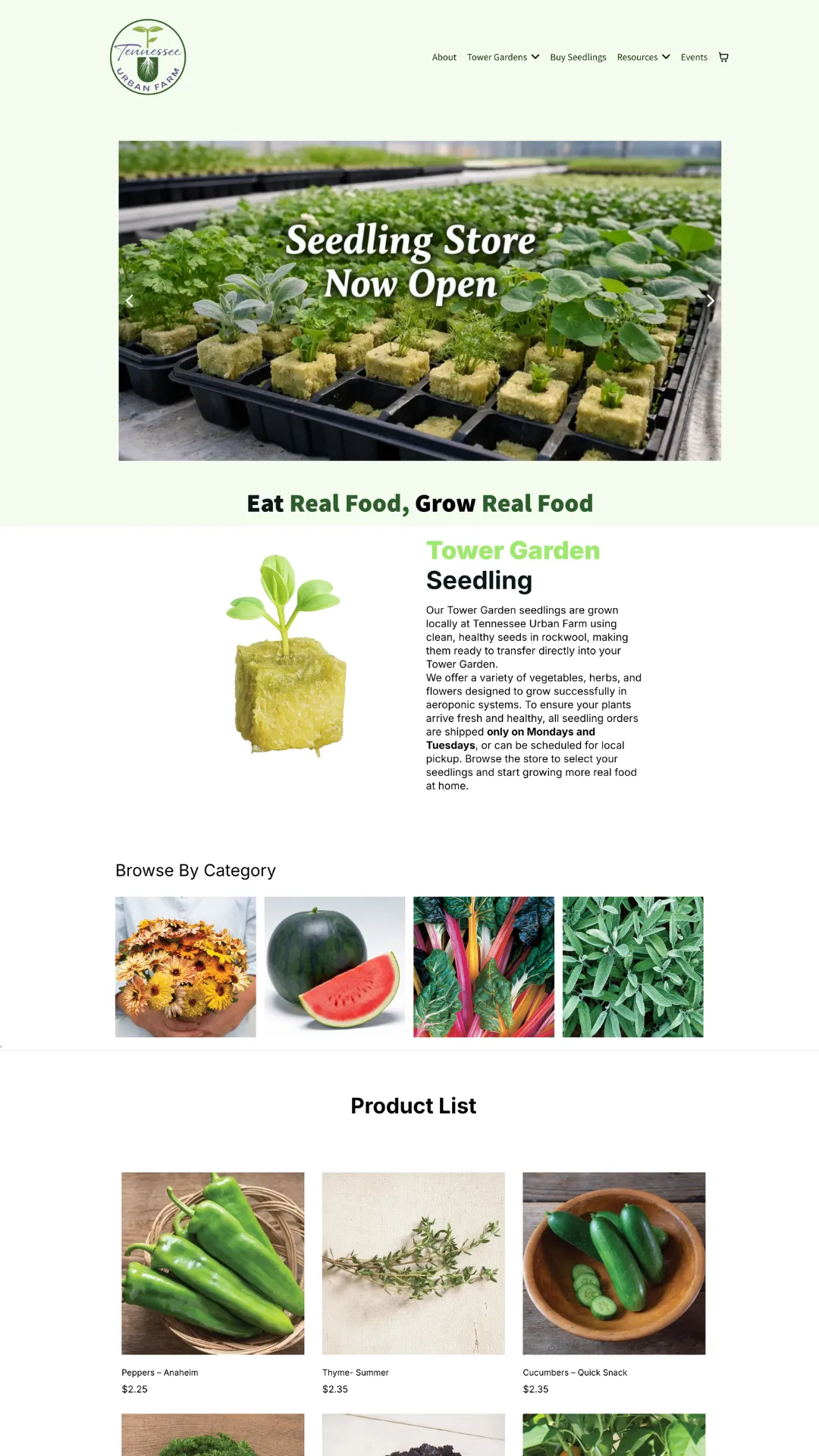 Website Deign for Renew Massage Therapy Springfield Tennessee