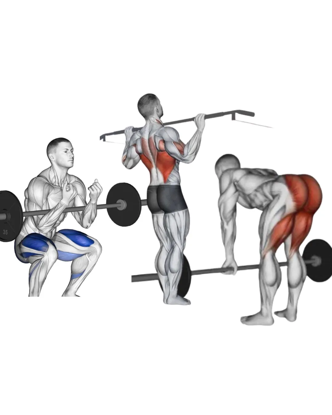 thurs strength